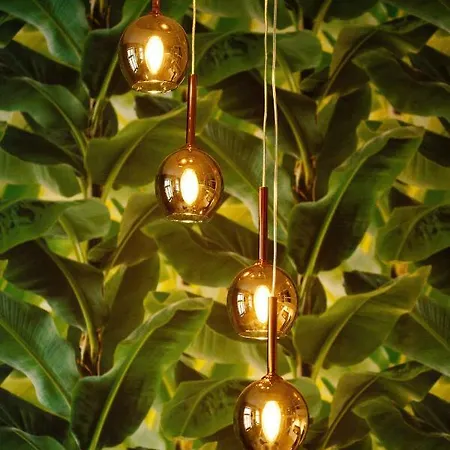 Mye - Kamienica Sienkiewicza * وودج